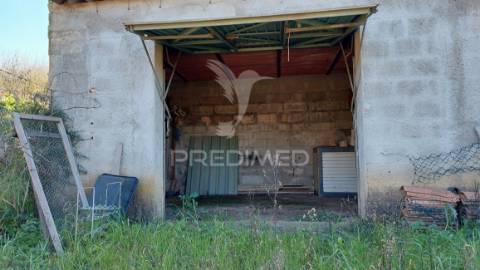 Terreno agrícola - são brissos , beja