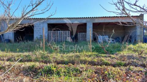 Terreno agrícola - são brissos , beja
