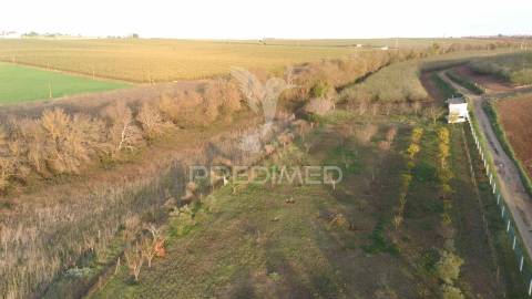 Terreno agrícola - são brissos , beja