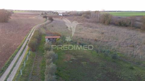 Terreno agrícola - são brissos , beja