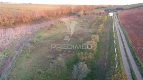 Terreno agrícola - são brissos , beja