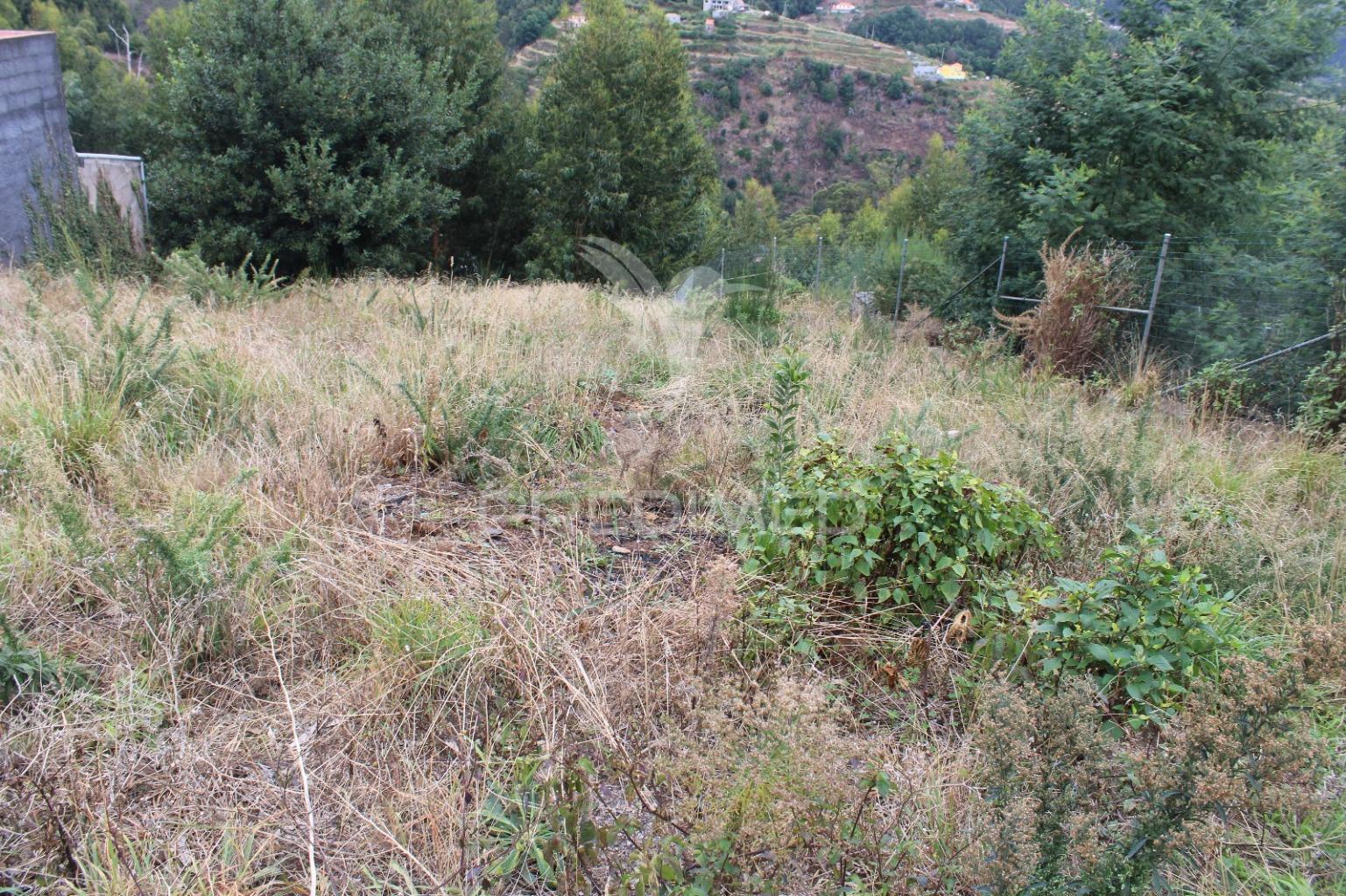Terreno misto com área de total 700m2 em santa cruz