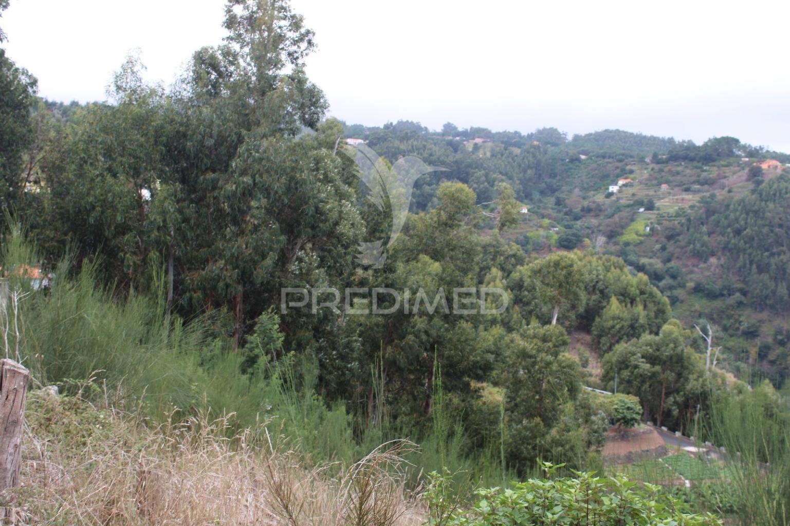 Terreno misto com área de total 700m2 em santa cruz