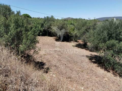 Lote de terreno urbano, localidade de alcanena