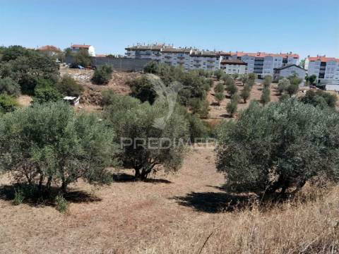 Lote de terreno urbano, localidade de alcanena
