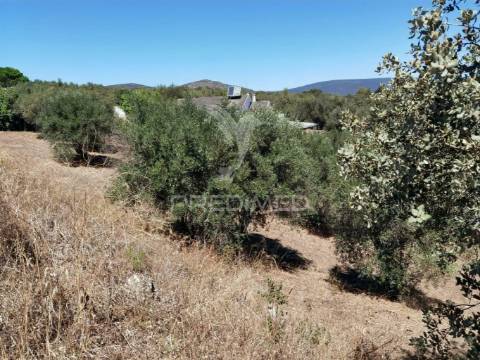 Lote de terreno urbano, localidade de alcanena