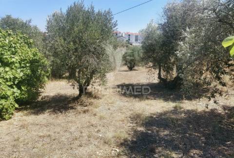 Lote de terreno urbano, localidade de alcanena