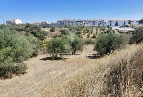 Lote de terreno urbano, localidade de alcanena