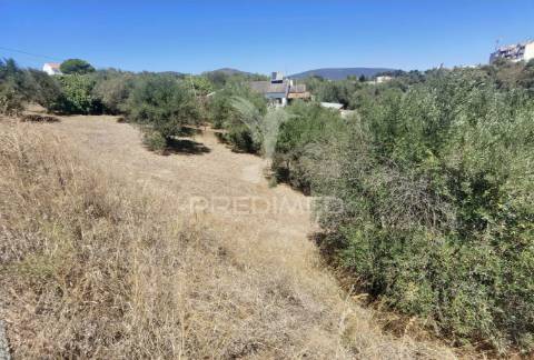 Lote de terreno urbano, localidade de alcanena