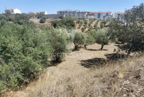 Lote de terreno urbano, localidade de alcanena