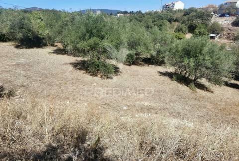 Lote de terreno urbano, localidade de alcanena