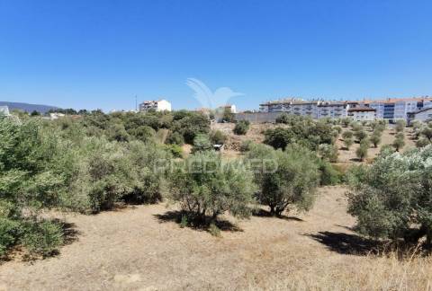 Lote de terreno urbano, localidade de alcanena