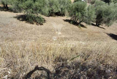 Lote de terreno urbano, localidade de alcanena