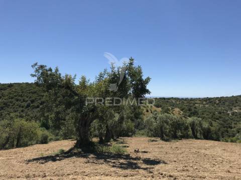 Terreno para construção de moradia com piscina