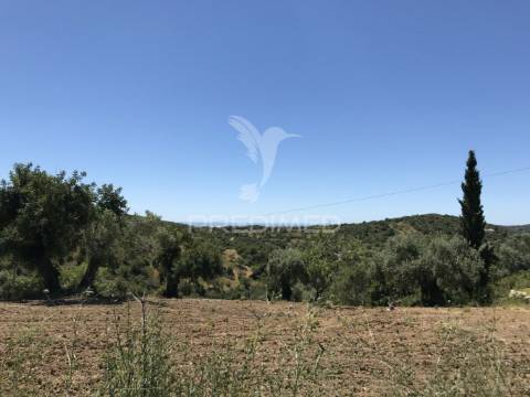 Terreno para construção de moradia com piscina