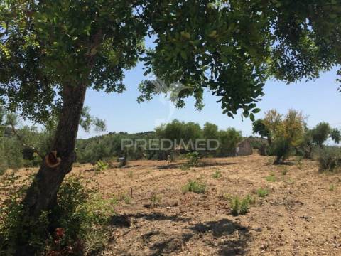 Terreno para construção de moradia com piscina