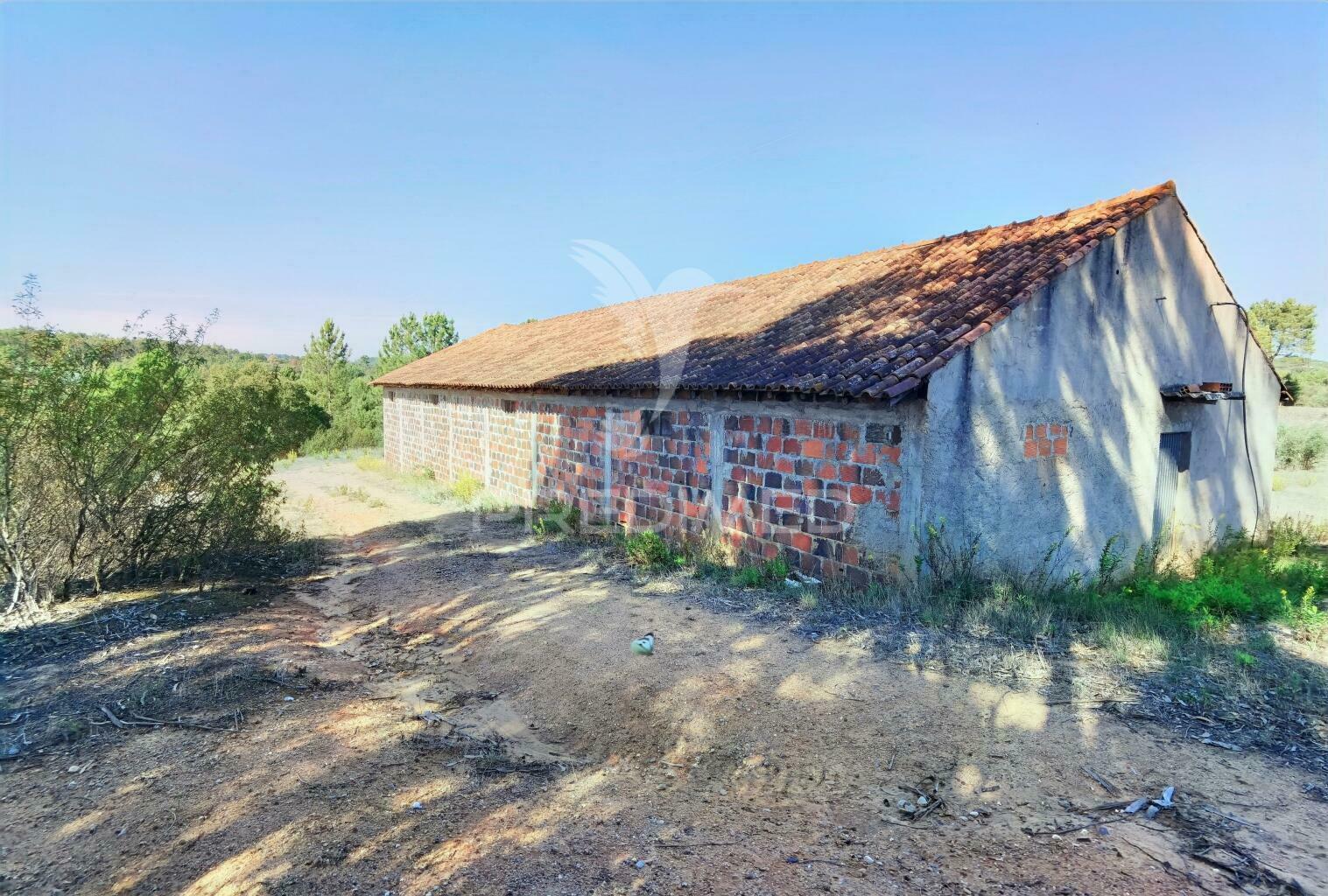Pavilhão agrícola  espinheiro- alcanena