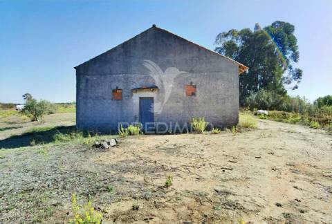 Pavilhão agrícola  espinheiro- alcanena