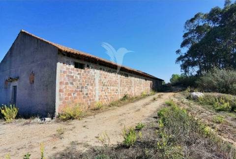 Pavilhão agrícola  espinheiro- alcanena