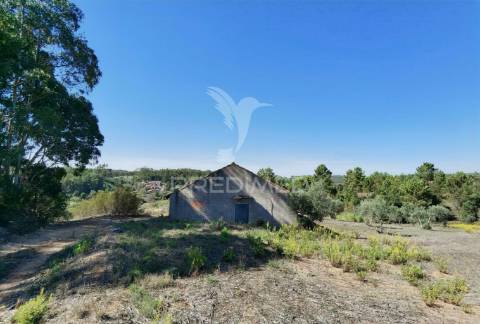 Pavilhão agrícola  espinheiro- alcanena