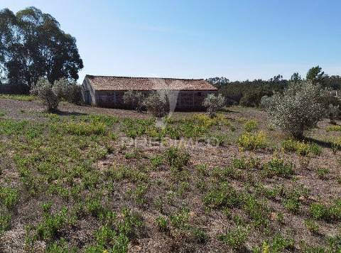 Pavilhão agrícola  espinheiro- alcanena