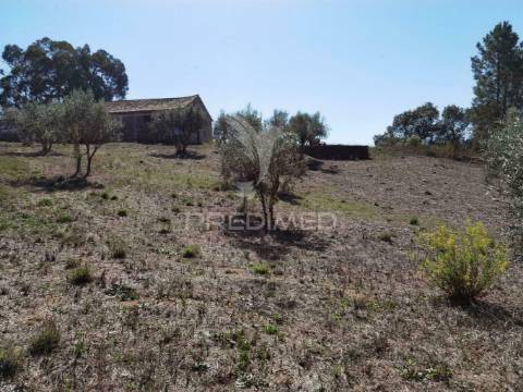Pavilhão agrícola  espinheiro- alcanena