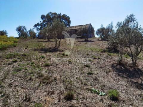 Pavilhão agrícola  espinheiro- alcanena