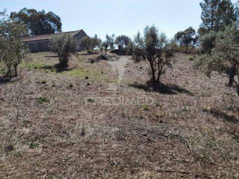 Pavilhão agrícola  espinheiro- alcanena