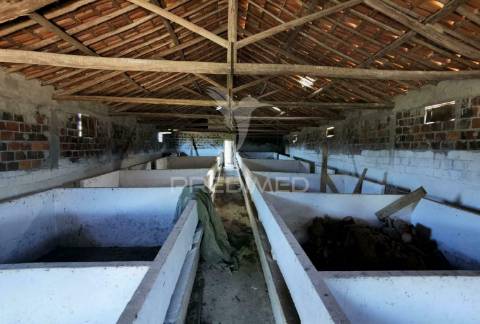 Pavilhão agrícola  espinheiro- alcanena