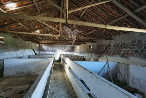 Pavilhão agrícola  espinheiro- alcanena