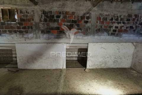 Pavilhão agrícola  espinheiro- alcanena