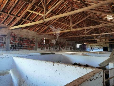 Pavilhão agrícola  espinheiro- alcanena