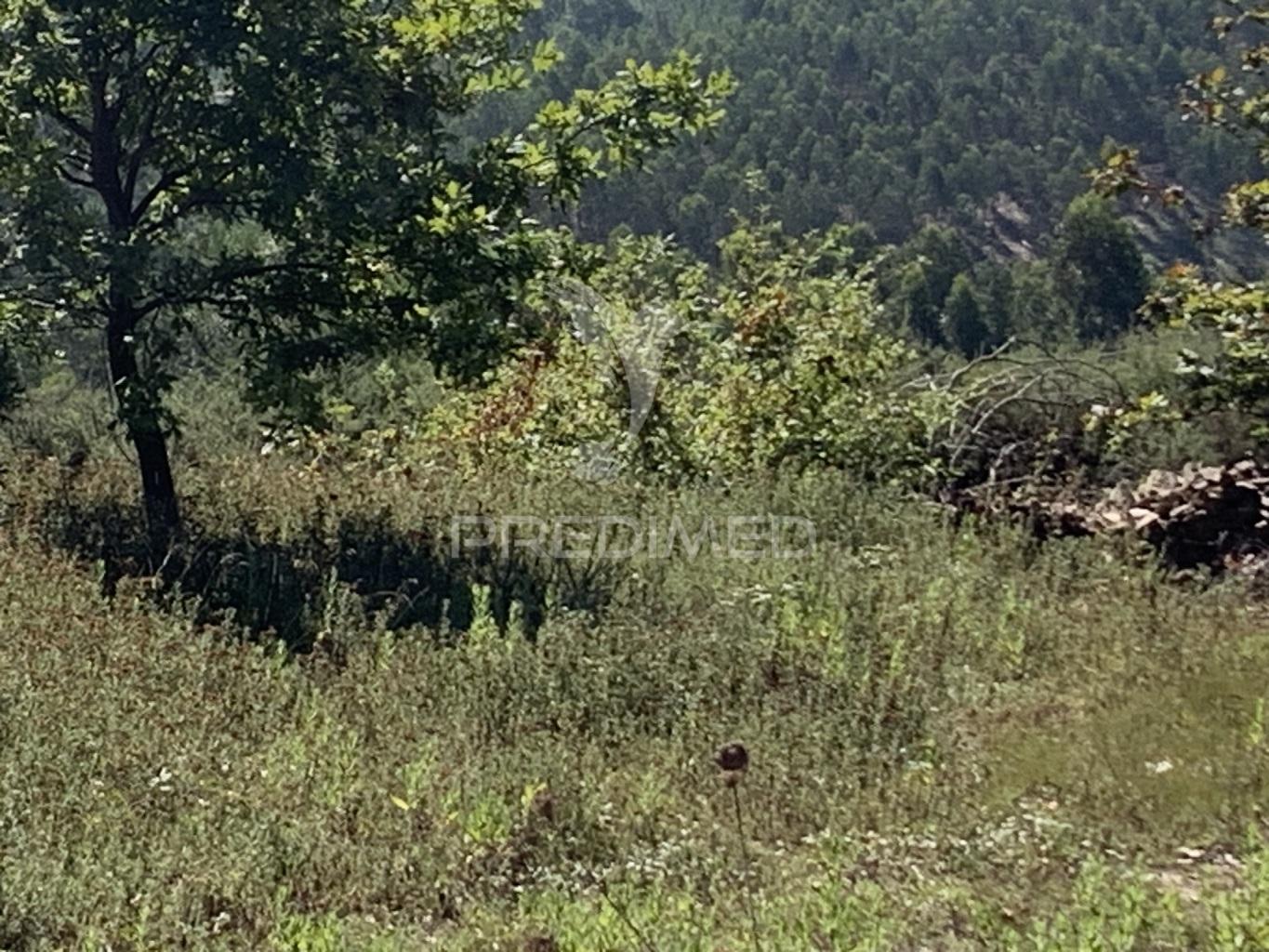 Terreno para construção
