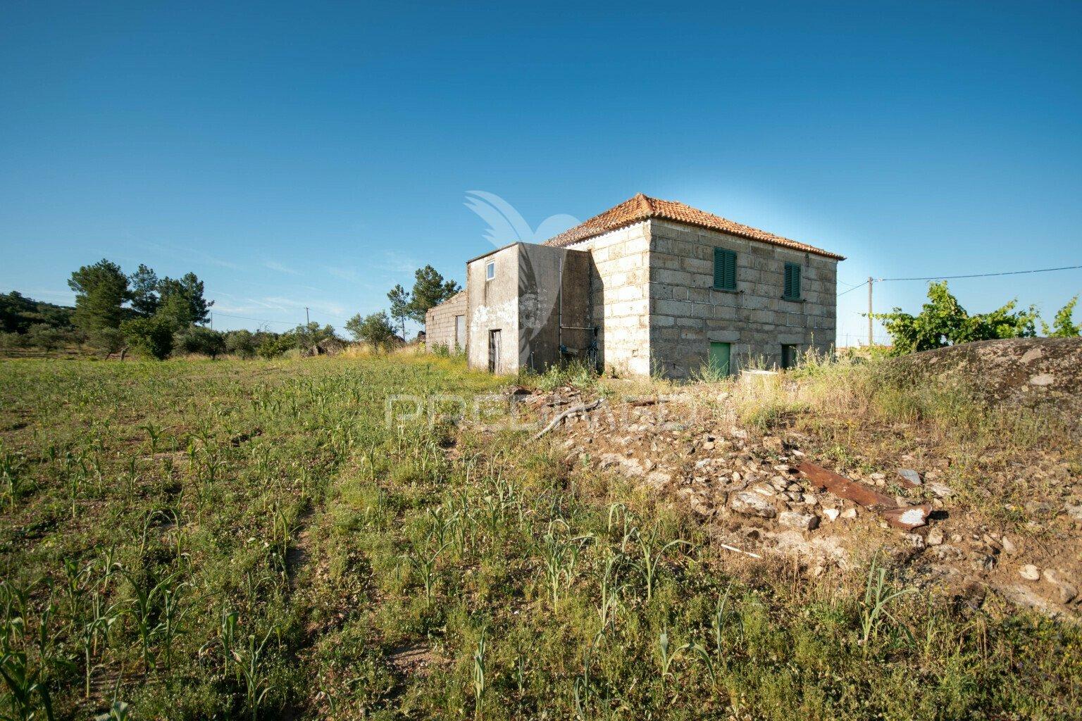 Quinta no concelho de trancoso com + de 1.5 hectares