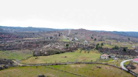 Quinta no concelho de trancoso com + de 1.5 hectares