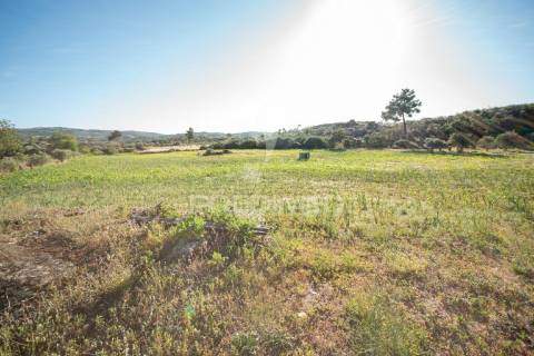 Quinta no concelho de trancoso com + de 1.5 hectares