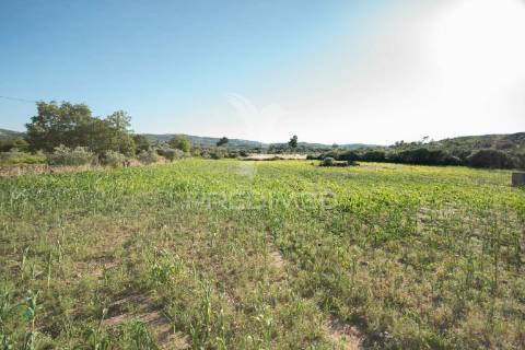 Quinta no concelho de trancoso com + de 1.5 hectares