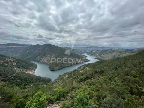 Casa em banda - douro vinhateiro