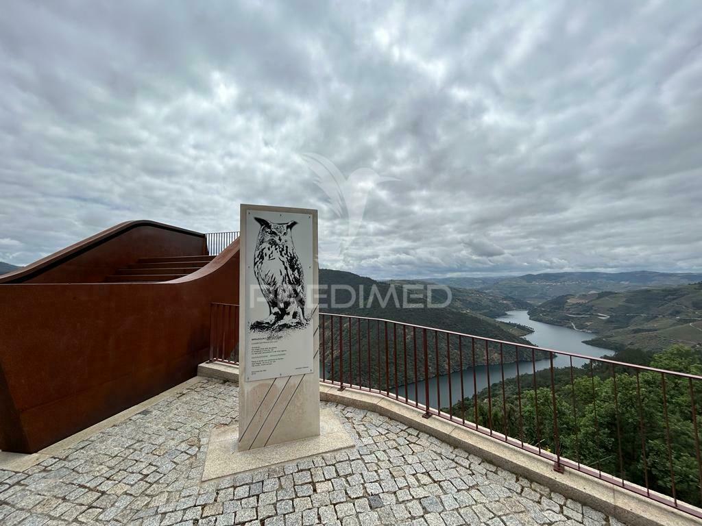 Casa em banda - douro vinhateiro
