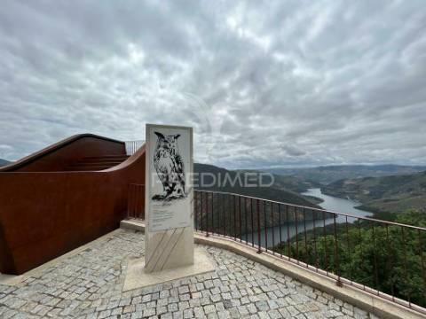 Casa em banda - douro vinhateiro