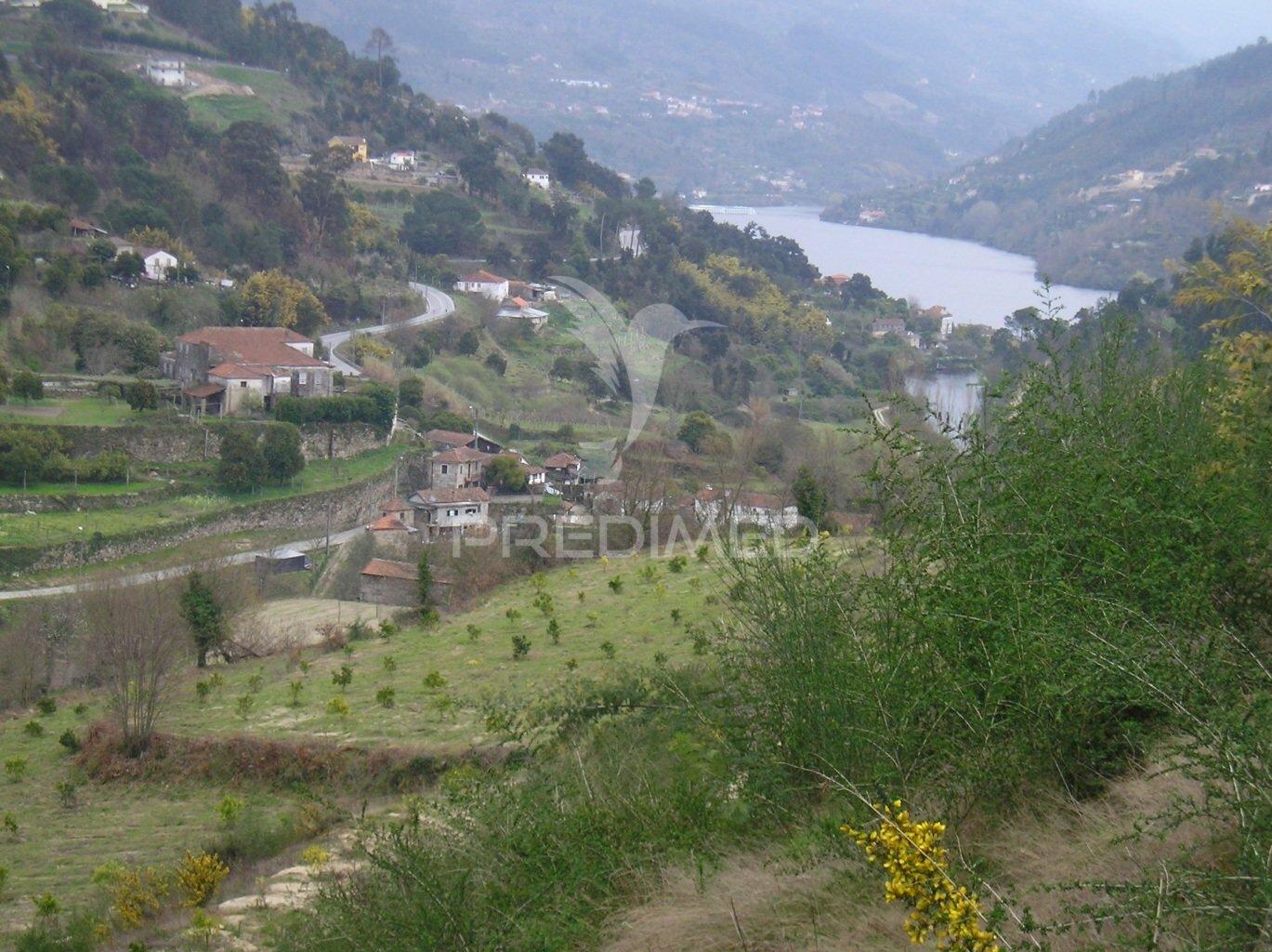 Quinta rural