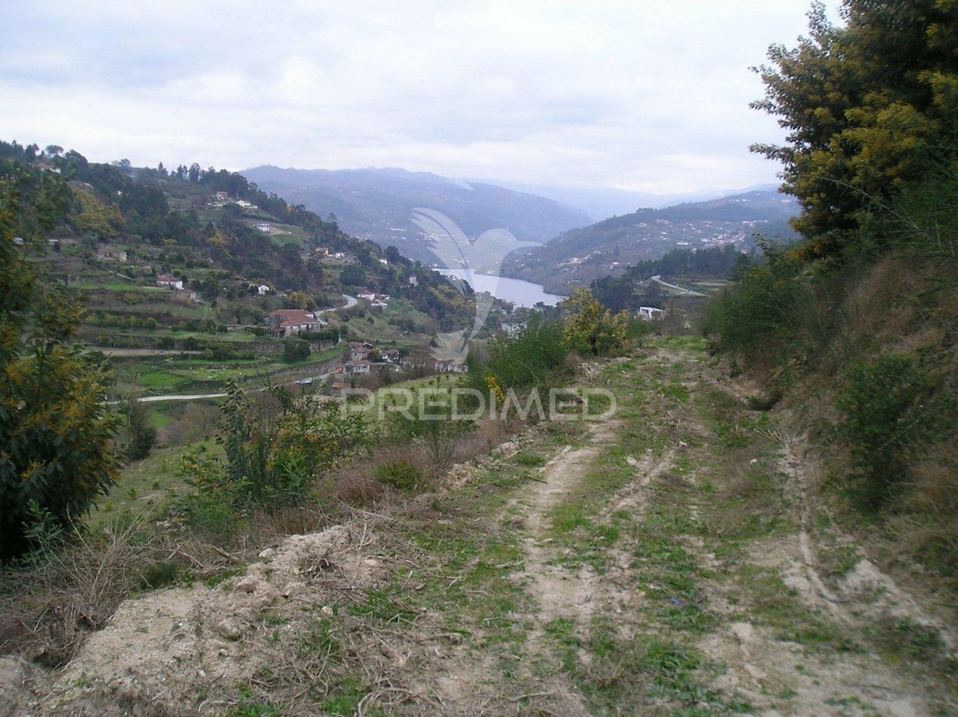 Quinta rural
