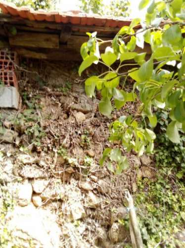3 moradias à venda em insua, penalva do castelo