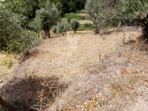 3 moradias à venda em insua, penalva do castelo