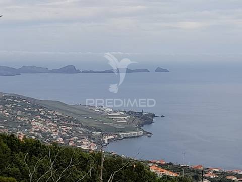 Terreno rústico em gaula 1.240 metros