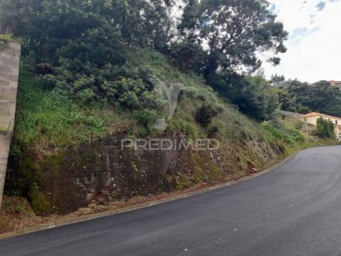 Terreno rústico em gaula 1.240 metros