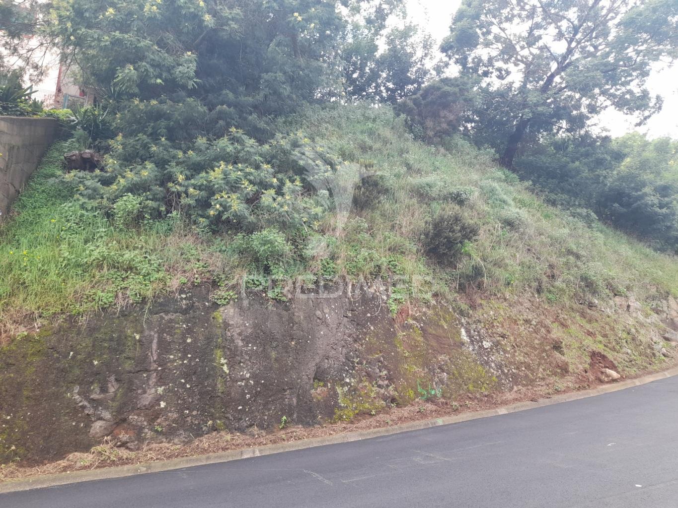 Terreno rústico em gaula 1.240 metros