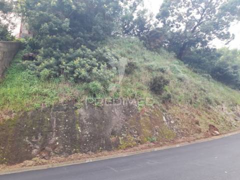 Terreno rústico em gaula 1.240 metros