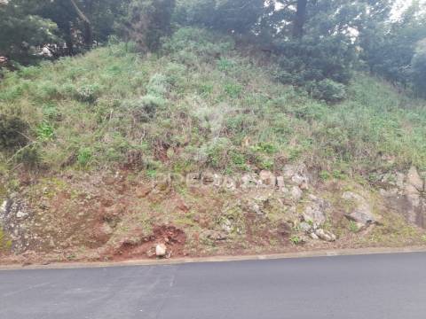 Terreno rústico em gaula 1.240 metros