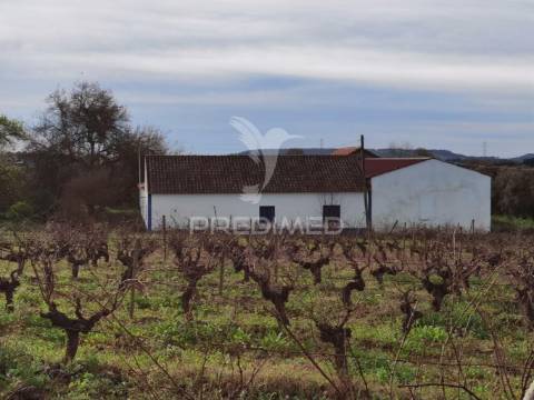 Deslumbrante quinta , localizada em pleno ribatejo casével / santarém